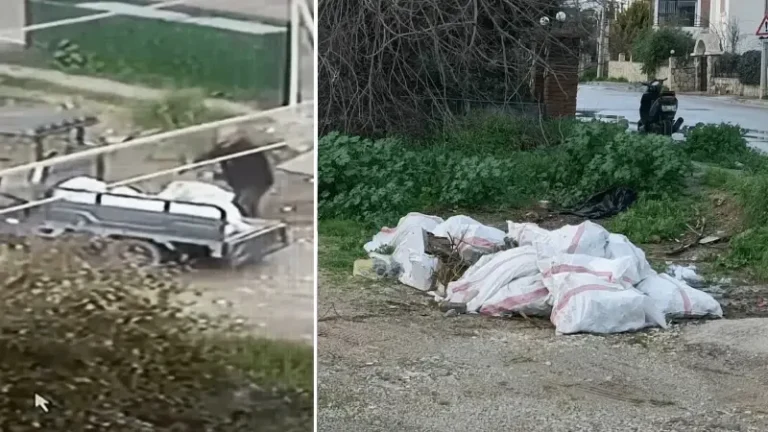 Bodrum’da araziye moloz döktü: 50 bin lira ceza yedi