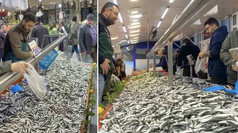 Bolu’da hamsi bolluğu sürüyor: Kilosu 200 liradan rağbet gördü