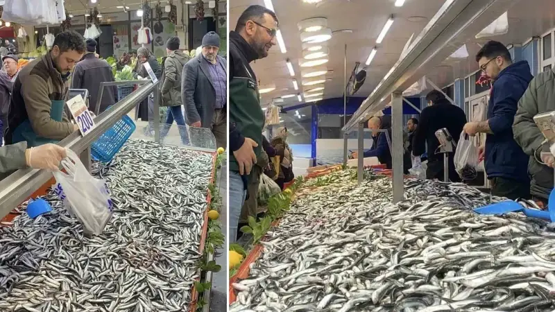 Bolu’da hamsi bolluğu sürüyor: Kilosu 200 liradan rağbet gördü