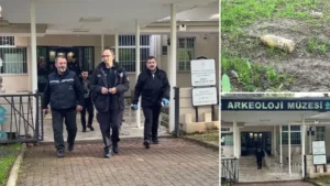 Bursa’da piknik yaparken buldu: Müzeye getirince ortalık karıştı