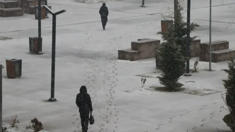 Kar ve sis etkisini artırdı: 141 yerleşim yerine ulaşım sağlanamıyor