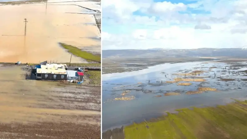 Muş Ovası sular altında: Bazı evler ve tarım arazilerinde su baskınları oluştu