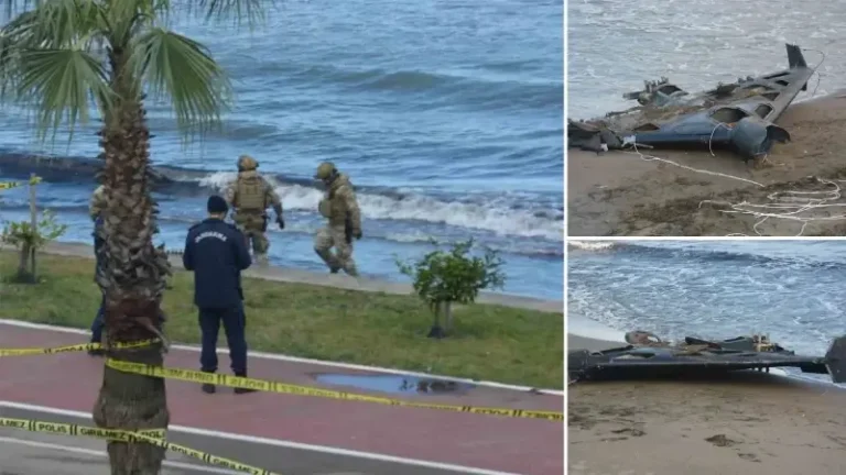 Ordu’da sahile vurmuştu: Gizemli parçanın sırrı çözüldü