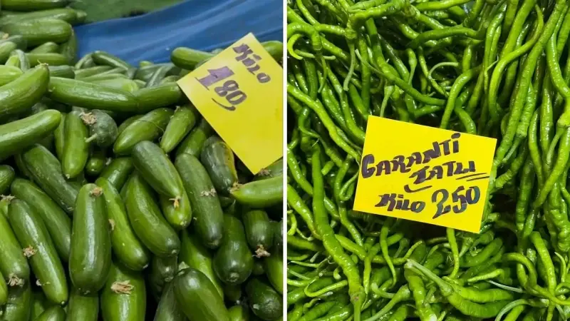 Seraları su basınca sivri biber ve salatalığın fiyatı 250 liraya çıktı