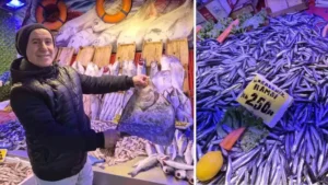 Sezonun bitmesine bir buçuk ay kala zirveye yerleşti: Sardalya kilosu 200 liradan tercih ediliyor