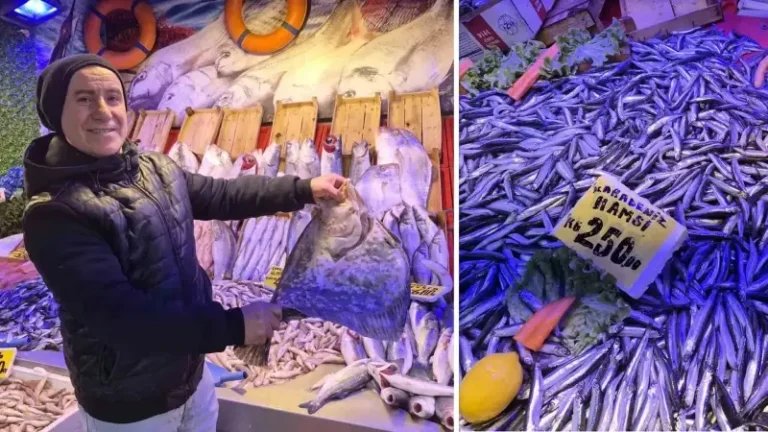 Sezonun bitmesine bir buçuk ay kala zirveye yerleşti: Sardalya kilosu 200 liradan tercih ediliyor