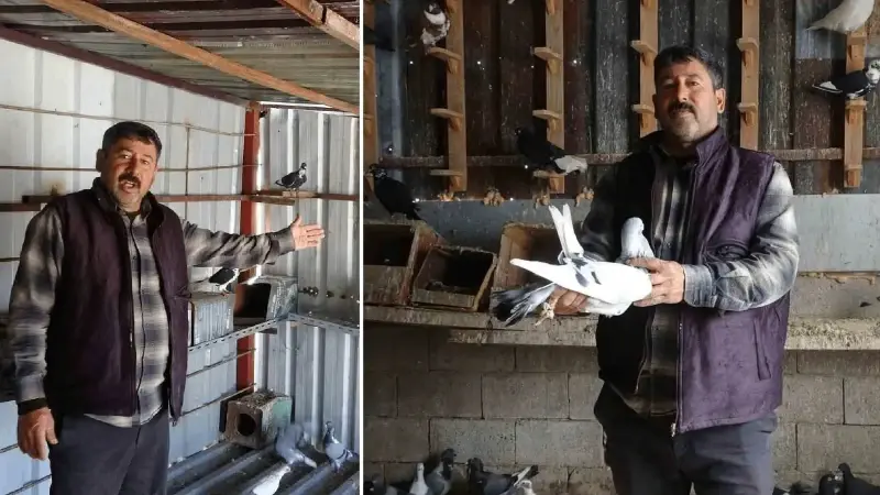 7 yaşında kuzeni hediye etti, 45 yılda sayıları 200’e ulaştı: ‘Ben onlarsız yaşayamam’