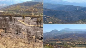 Muğla’nın Seydikemer ilçesindeki yangın tamamen kontrol altına alındı