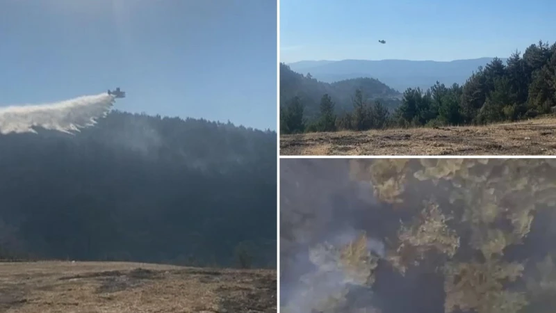 Balıkesir’deki orman yangını kontrol altına alındı