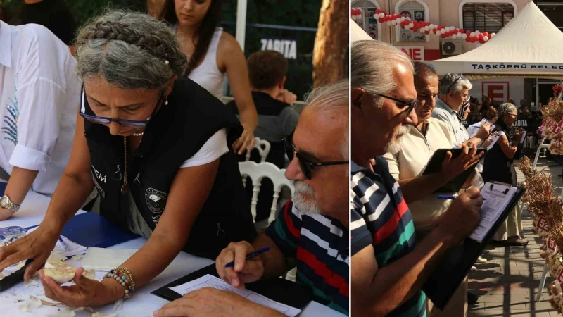 Dünyaca ünlü Taşköprü sarımsağı festivalde yarıştı: 80 demet arasından en iyi sarımsak seçildi