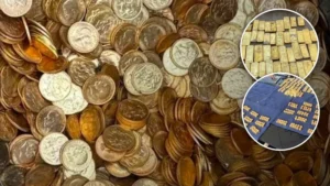 Duvarın içine gizlemişler: 9 milyon avro değerinde altın bulundu
