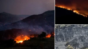 Fransa’nın güneydoğusunda yangın: 2 bin 500 kişi tahliye edildi