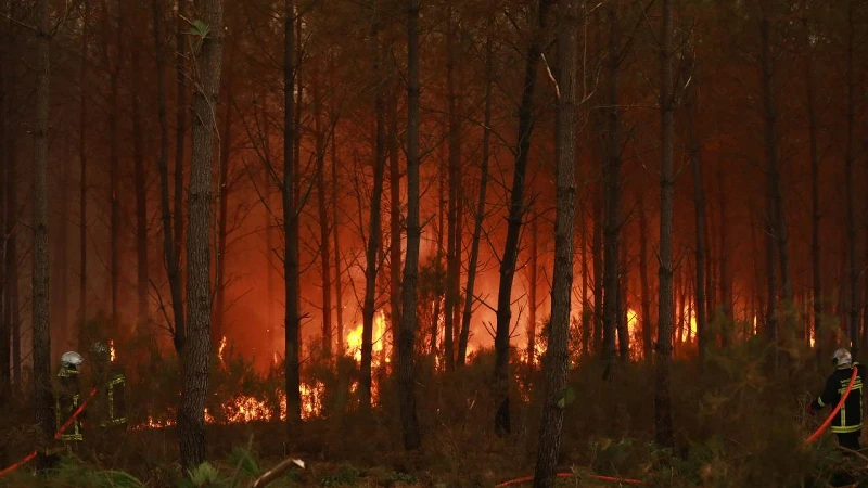 Fransa’nın Landes vilayetindeki orman yangınında 1100 hektarlık alan küle döndü