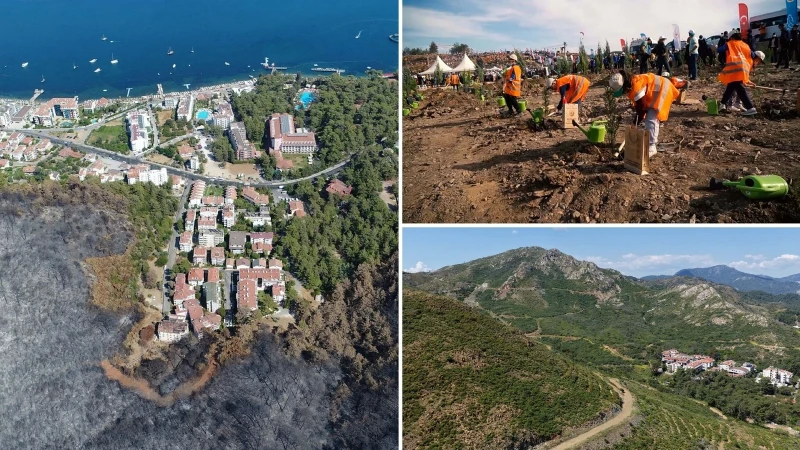 Muğla’da büyük yangınların 5’inci yılında yanan alanlar yeşil örtüye kavuştu