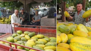 Yıllar sonra tavan arasında bulup yeniden ürettiler: Tadını bilen hasat başlar başlamaz köye akın ediyor